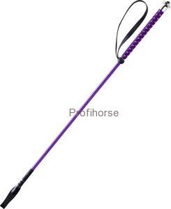 Jezdecký bičík WHIP GO Points 65cm