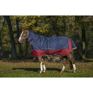 Výběhová deka s krkem EquiTheme Tyrex Combo, 200 g