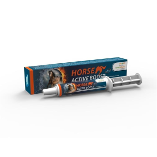 Pasta na zvýšení výkonnosti Horse Active Boost 20g