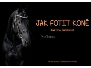 Jak fotit koně