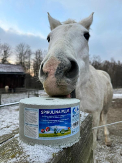 Minerální liz z mořské soli se spirulinou bohatou na vitamíny a esenciální živiny, 3 kg