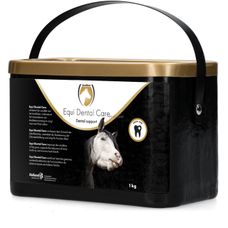 Equi Dental Care 