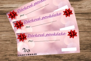 Dárková poukázka na 700 Kč