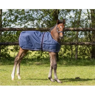 Hříběcí nepromokavá deka QHP 100 g, modrá - M- 80 cm