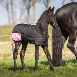 Nepromokavá deka Harrys Horse 200g, pro hříbata