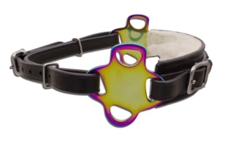 Hackamore Lucky star