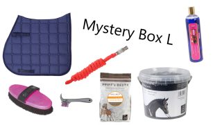 Mystery Box L