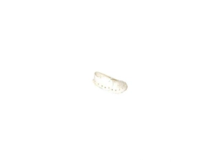 Bota buvolí bílá kůže 12,5cm, 1 ks