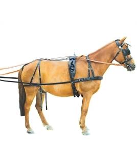 Postroj pro pony PE