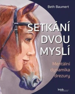Kniha Setkání dvou myslí, Beth Baumerth