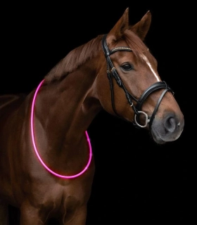LED pásek na krk Waldhausen