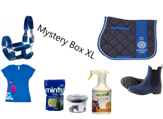 Mystery Box XL