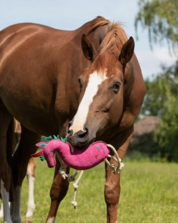 Kožená hračka QHP - unicorn