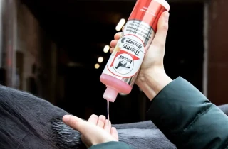 Termomasážní gel na zahřátí svalů před tréninkem Thermo Massage, 500 ml