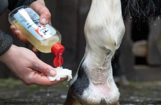Mycí gel pro koně s citlivou nebo porušenou pokožkou Erste Hilfe MED-Waschlotion, 250 ml