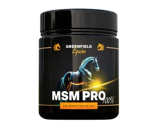 MSM PRO 100% v prášku, 1 kg